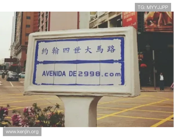 澳门新葡京视频网站的使用技巧与常见问题解答，帮助新手快速上手