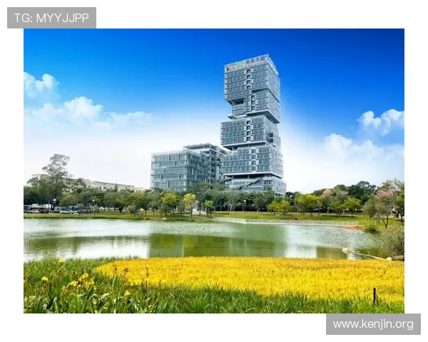 汇彩控股有限公司在香港成功上市对企业治理结构优化和管理水平提升的促进作用